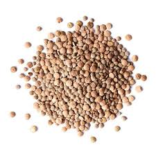 Kamande - Lentils